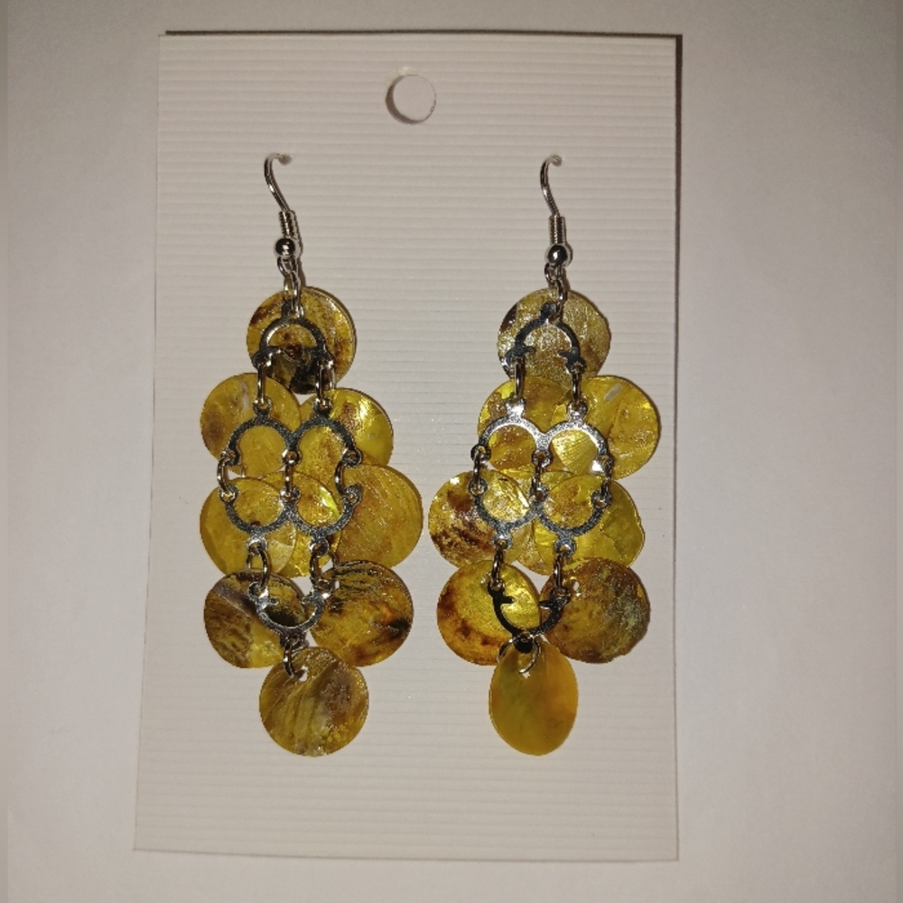 Earrings NIP